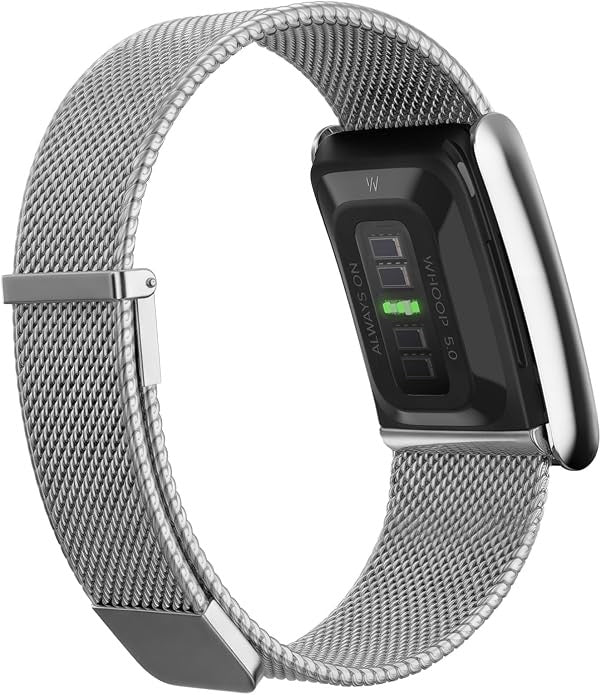 WHOOP 5.0 Meridian Band | Alloy