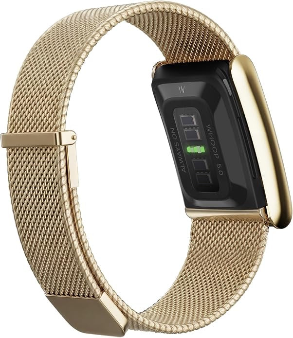 Rear view of Whoop 5.0 Meridian Band in Gold