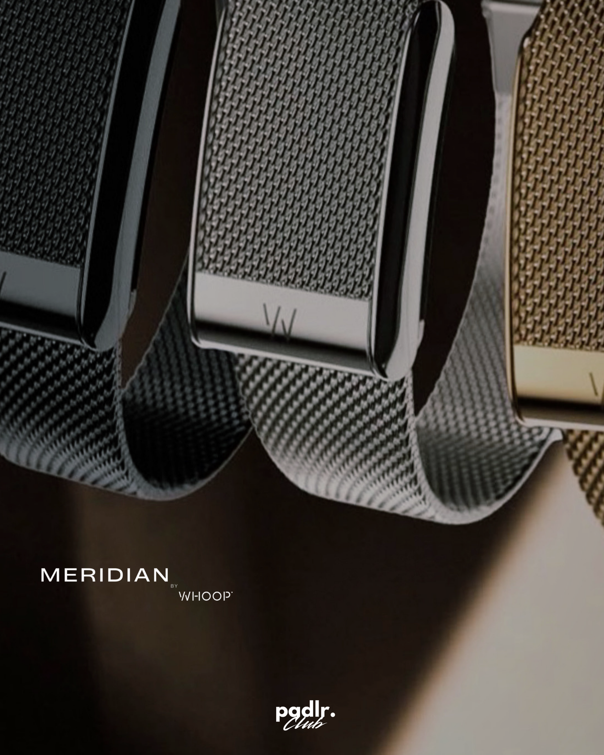 WHOOP 5.0 Meridian Band | Alloy